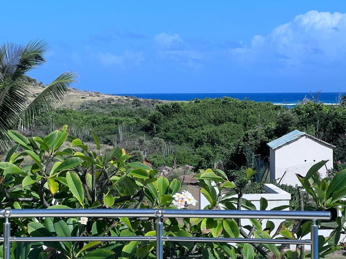 Villa Taiana Quarter of Orleans Экстерьер фото